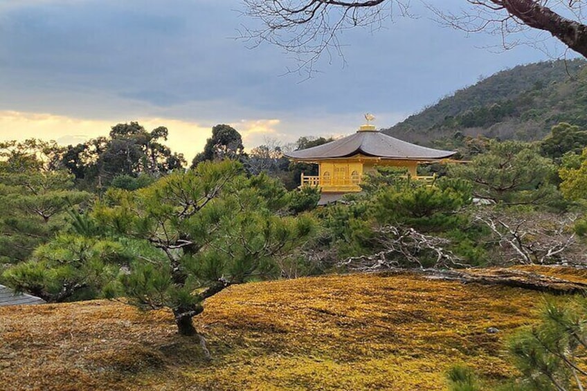 Kinkakuji / Golden Pavilion 