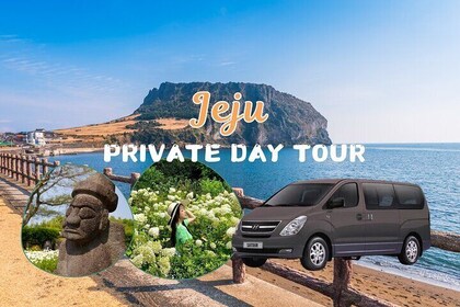 Private one-day driving service in Jeju Island (9 Hours)