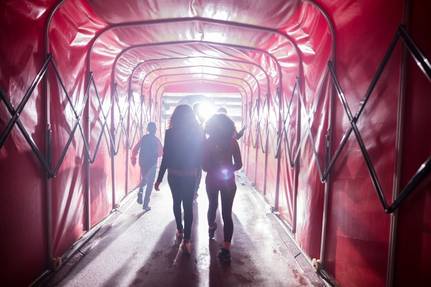 Arsenal Emirates Stadium Tour