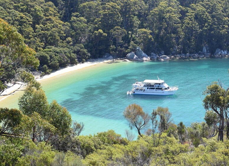 Welshpool: Wilsons Promontory Nature and Wildlife Day Cruise