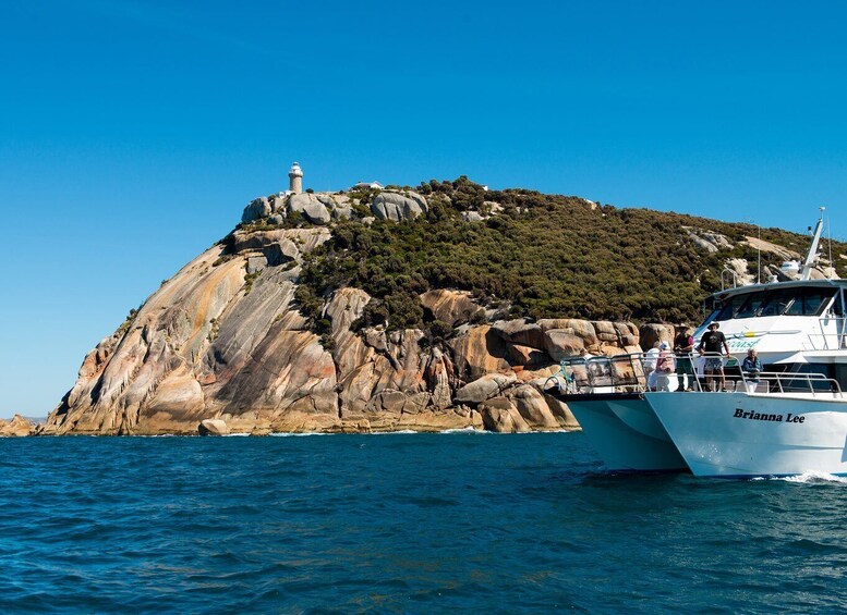 Picture 10 for Activity Welshpool: Wilsons Promontory Nature and Wildlife Day Cruise