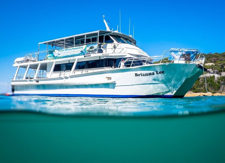 Picture 1 for Activity Welshpool: Wilsons Promontory Nature and Wildlife Day Cruise