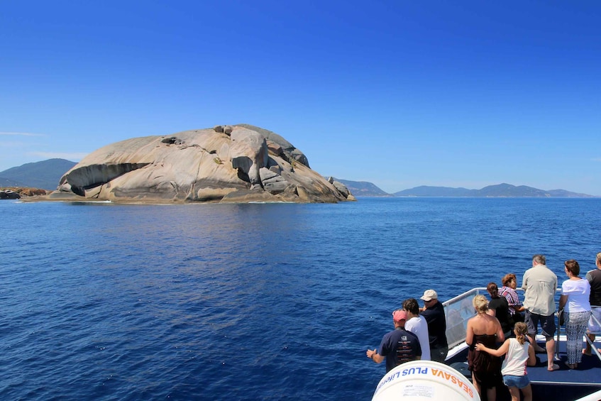 Picture 3 for Activity Welshpool: Wilsons Promontory Nature and Wildlife Day Cruise