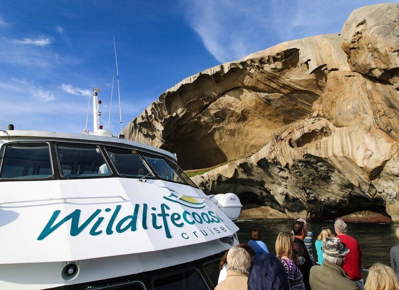 Picture 9 for Activity Welshpool: Wilsons Promontory Nature and Wildlife Day Cruise