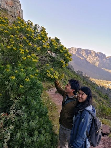 Picture 4 for Activity Beautiful Table Mountain Hike: Kasteelspoort Scenic Route