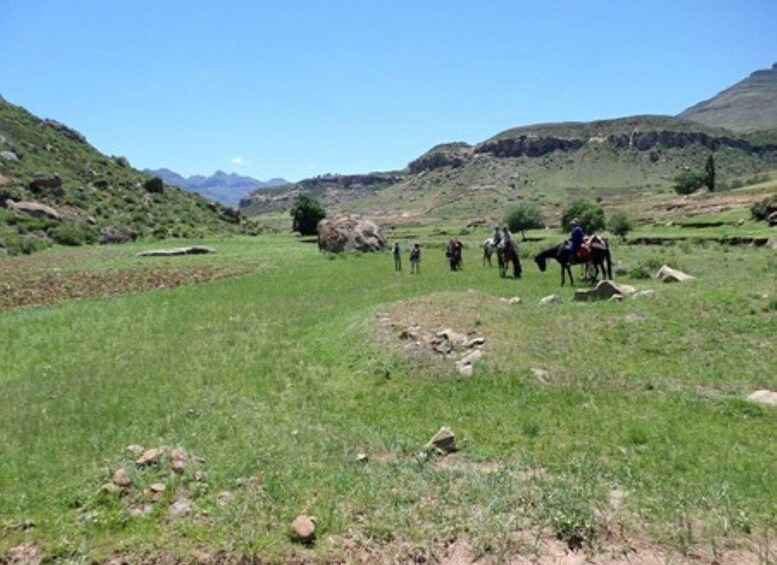 Picture 7 for Activity 7 Nights/ 8 Days - Pony Trekking in Lesotho