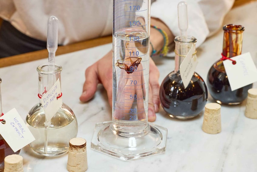 Picture 4 for Activity Turin: Interactive Vermouth-Making Workshop at Casa Martini