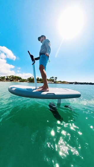 Picture 4 for Activity Fly Above Water, eFoil Adventure in Sarasota