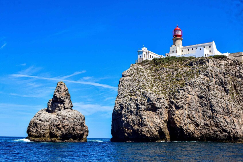 Picture 2 for Activity Sagres: Wildlife Tour Dolphins and Caves