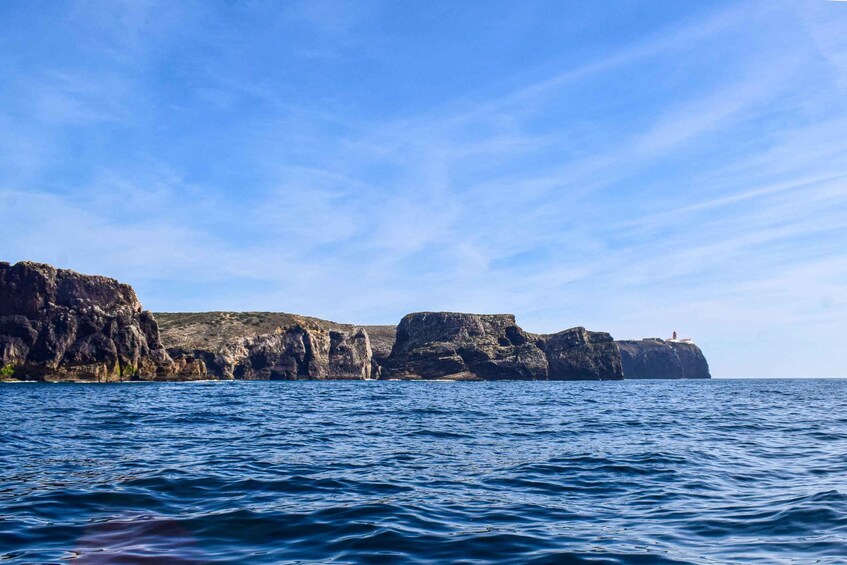 Picture 4 for Activity Sagres: Wildlife Tour Dolphins and Caves