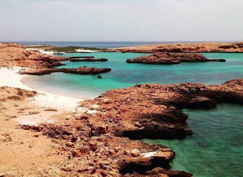 Muscat: Snorkeling Cruise to Daymaniat Islands Reserve