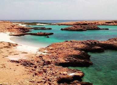 Muscat: Snorklausristeily Daymaniat-saarten suojelualueelle