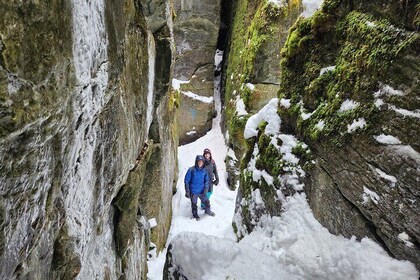 Private Singhampton Caves Snowshoe, Collingwood/Blue Mountain