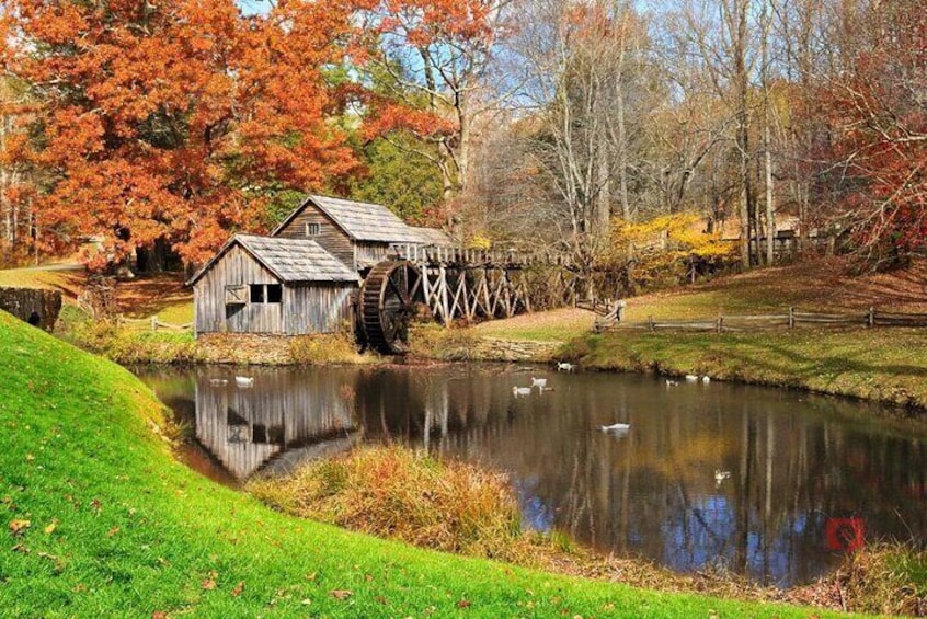 Blue Ridge Parkway: Audio Driving Tour