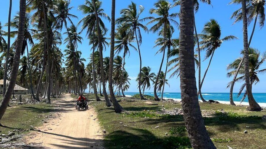 Buggy circuit around the beach.