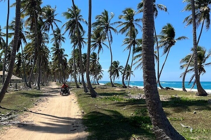 Half Day Safari and quad bike or horses from Punta Cana