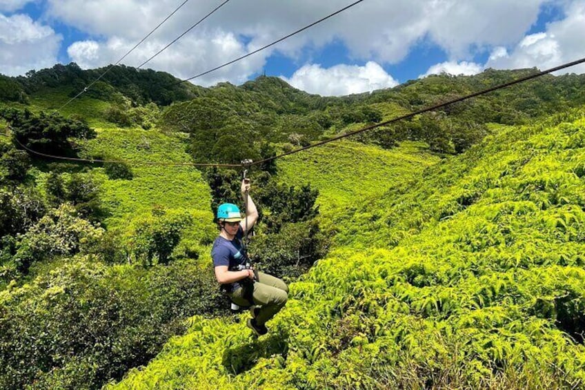 5 Line Zipline Tour