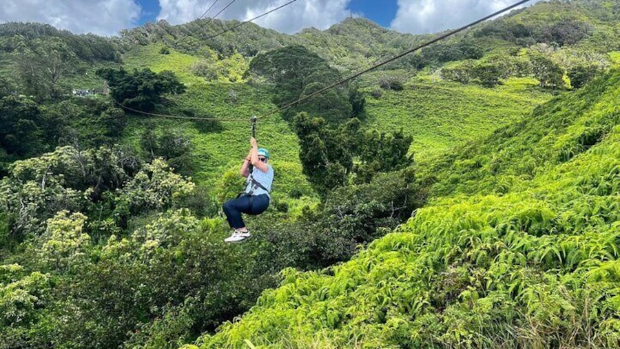 5 Line Zipline Tour