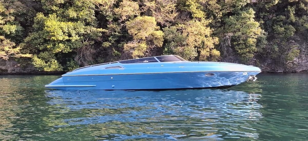 Picture 10 for Activity Grand Tour, on luxury speedboat at Lake Como