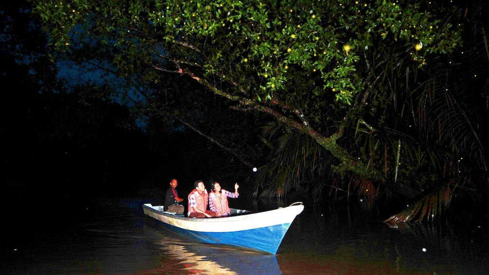 Boat in the Philippines looking for Fireflys