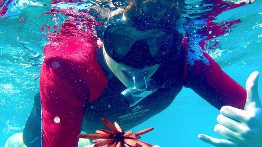 Guided Snorkeling for Beginners with Flotation Wetsuit