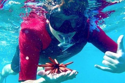 Snorkeling for Beginners at Kapalua Bay with Flotation Wetsuit