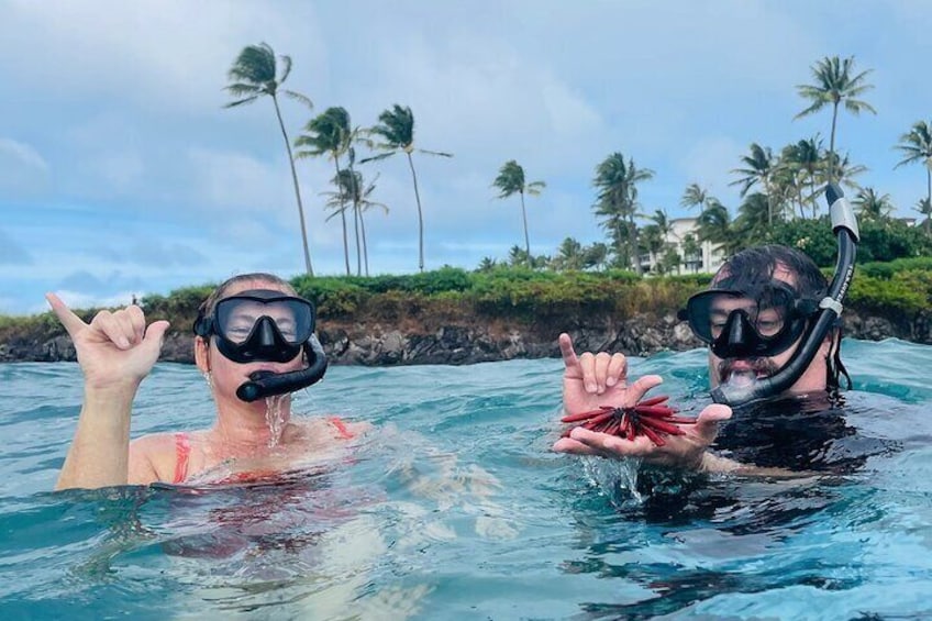 Snorkeling for Beginners at Kapalua Bay with Flotation Wetsuit