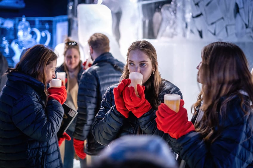 Berlin Combination: Hop on Hop off bus tour & Icebar (including 3 drinks)