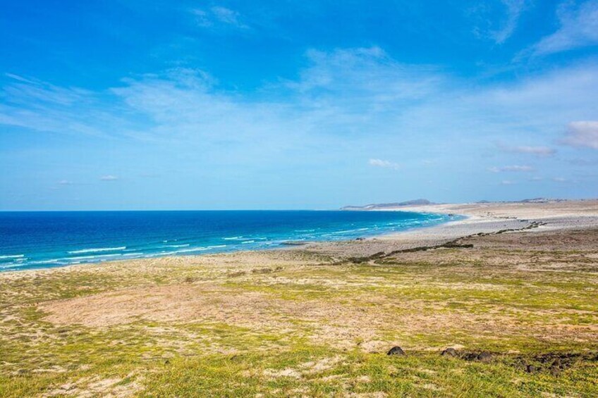 Full Day Boa Vista Island Guided 4X4 Tour with Beachfront Lunch