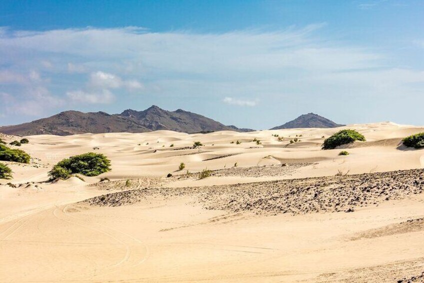 Full Day Boa Vista Island Guided 4X4 Tour with Beachfront Lunch