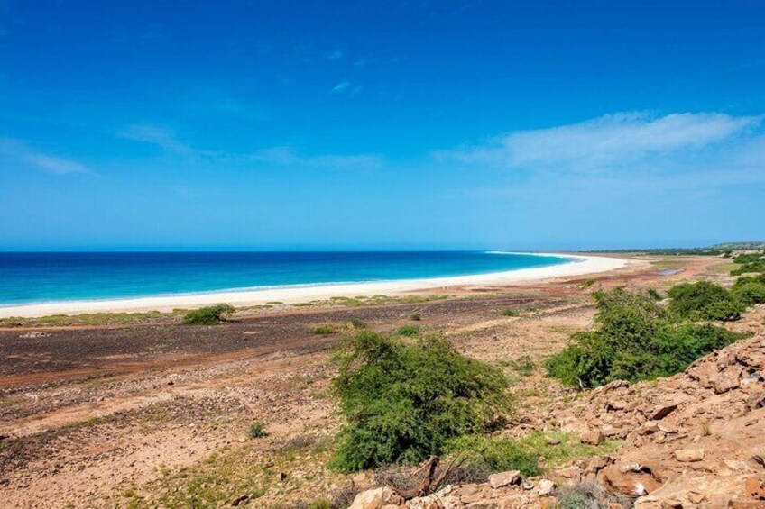 Full Day Boa Vista Island Guided 4X4 Tour with Beachfront Lunch