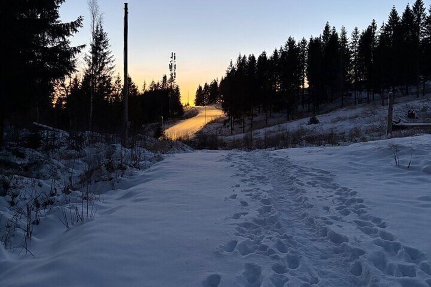 Oslo "Skogshytte" Winter Hike