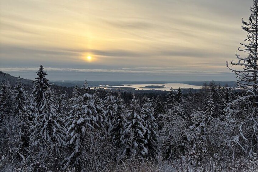 Oslo "Skogshytte" Winter Hike