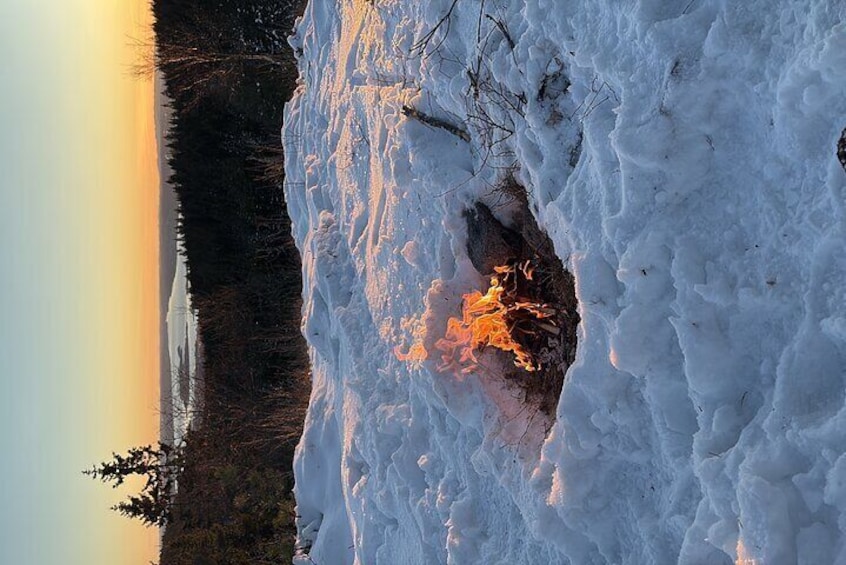 Oslo "Skogshytte" Winter Hike