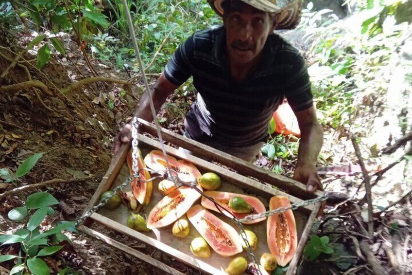 Eco Adventure and Volunteering at the Parrot Sanctuary in Bolivar