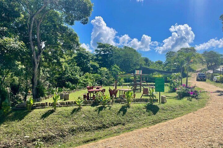 Eco Adventure and Volunteering at the Parrot Sanctuary in Bolivar