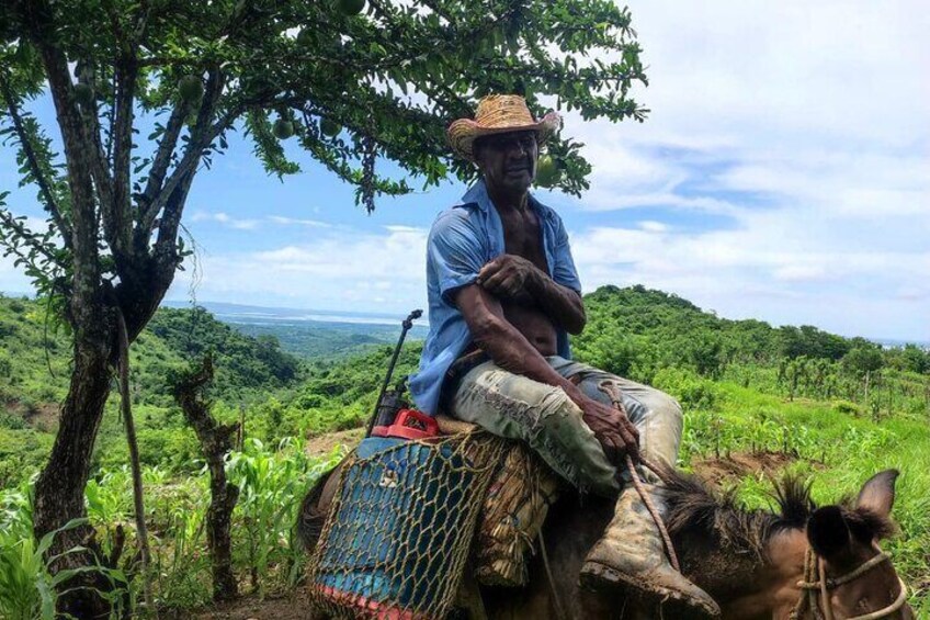 Into the Wild: A Volunteer Experience with Monkey Reintroduction
