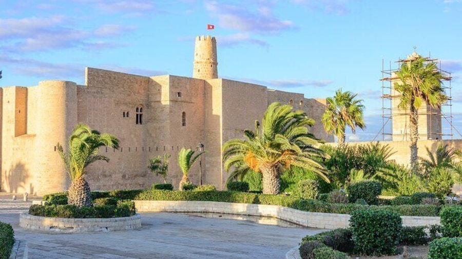 Full Day Private Shore Tour in Tunis from La Goulette Cruise Port