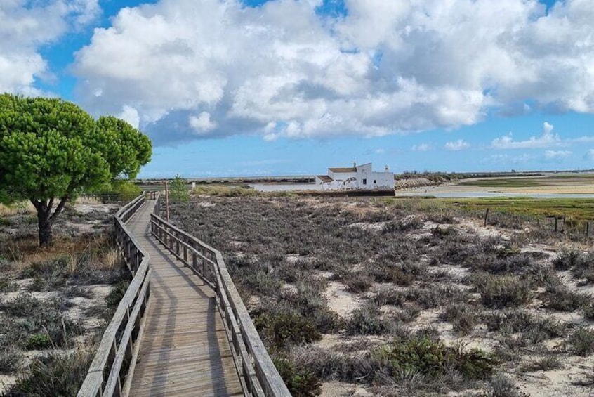 Path