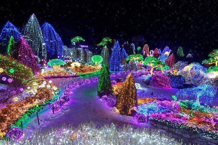 Alpaca, Nami, Petite Fr, Italian Village, Garden of Morning Calm