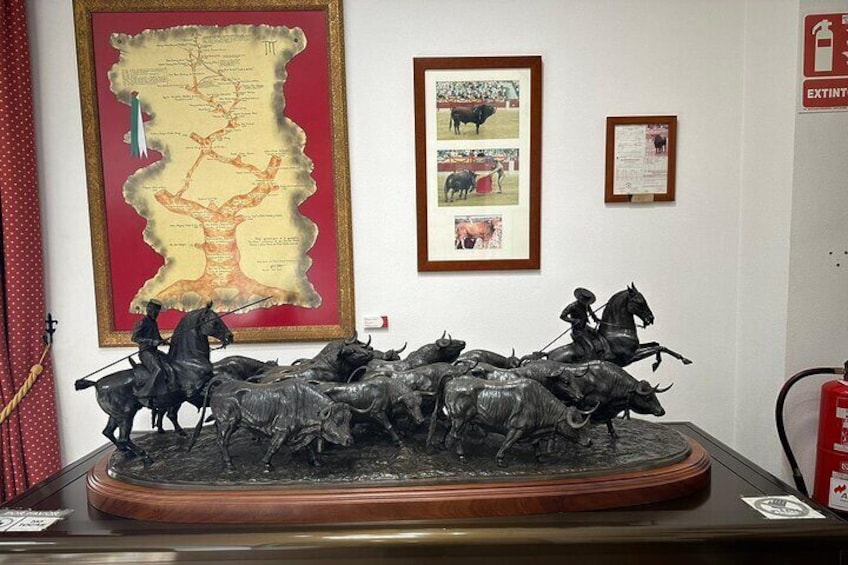Guided Visit to the Alicante Bullring and Bullfighting Museum