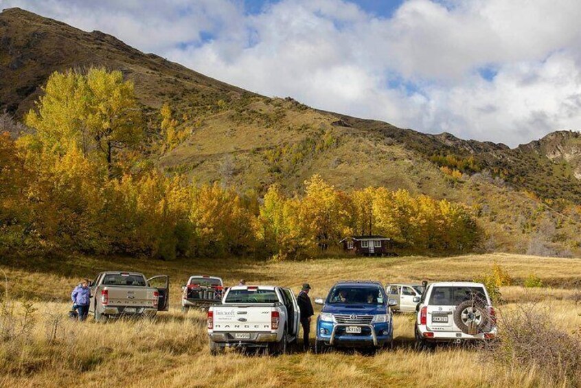 Amazing Autumn colors, Skippers Canyon