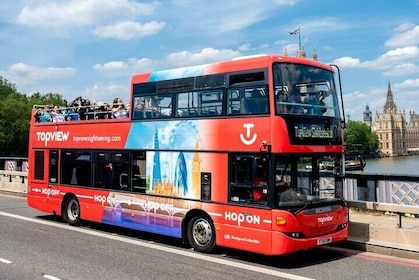 London Discover Pass with Live Tour Guide
