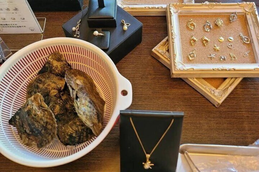 Experience Extracting Pearls From Akoya Oysters