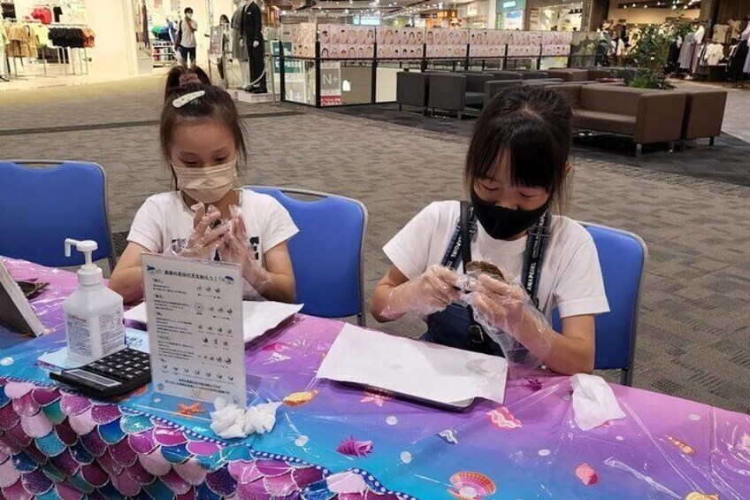 Experience Extracting Pearls From Akoya Oysters