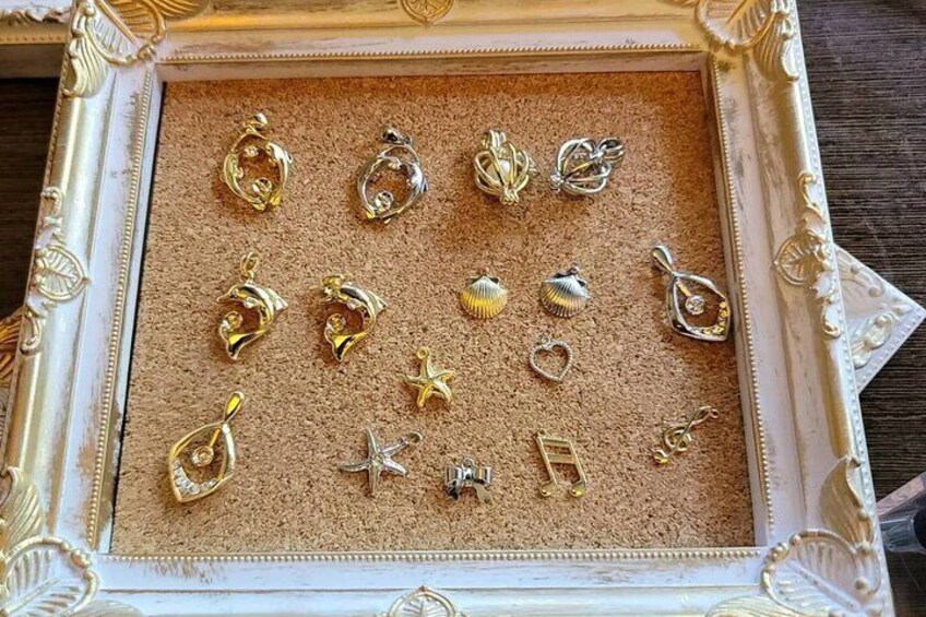 Experience Extracting Pearls From Akoya Oysters