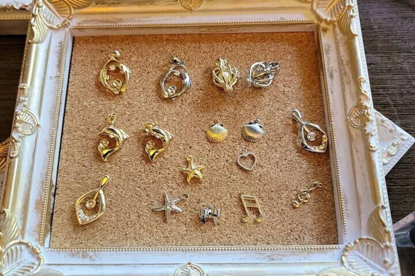 Experience Extracting Pearls From Akoya Oysters