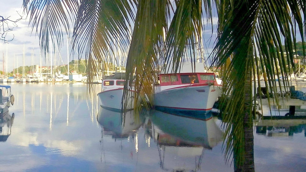 Water view in Grenada