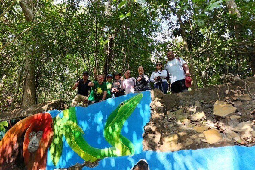 Monkey’s Creek: An Extreme Tropical Forest Hiking Adventure