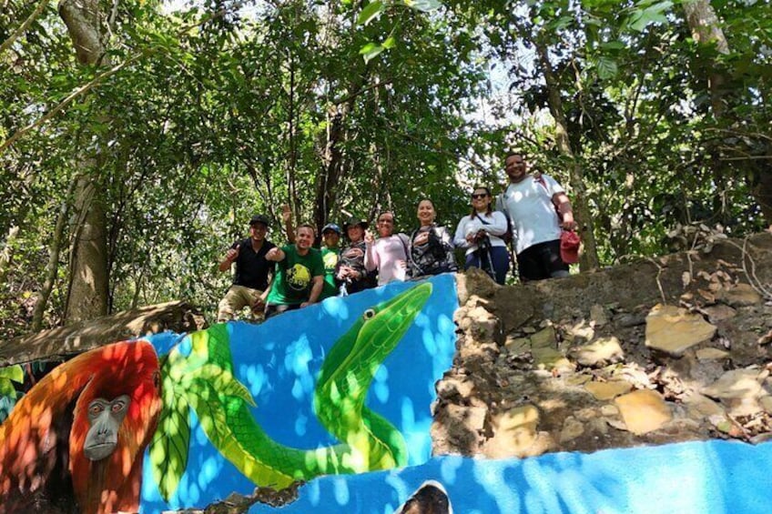 Monkey’s Creek: An Extreme Tropical Forest Hiking Adventure